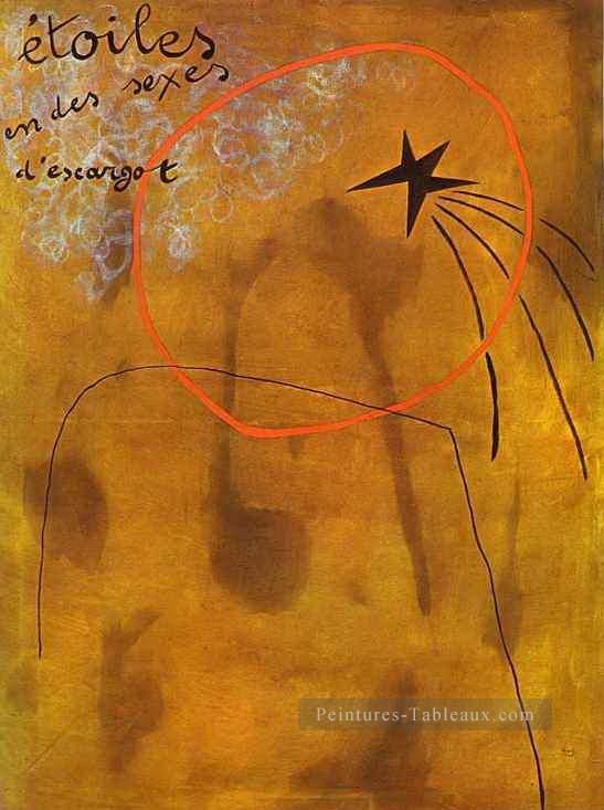Stars dans les escargots Sexes Joan Miro Peintures à l'huile
